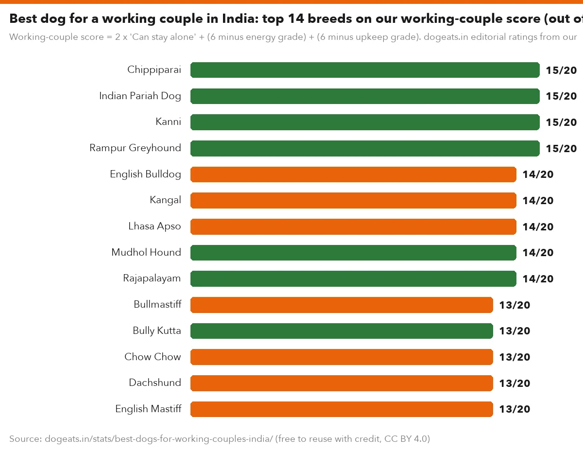 Best dog for a working couple in India: top 14 breeds on our working-couple score (out of 20)