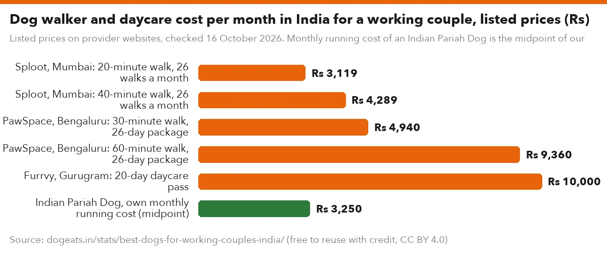 Dog walker and daycare cost per month in India for a working couple, listed prices (Rs)