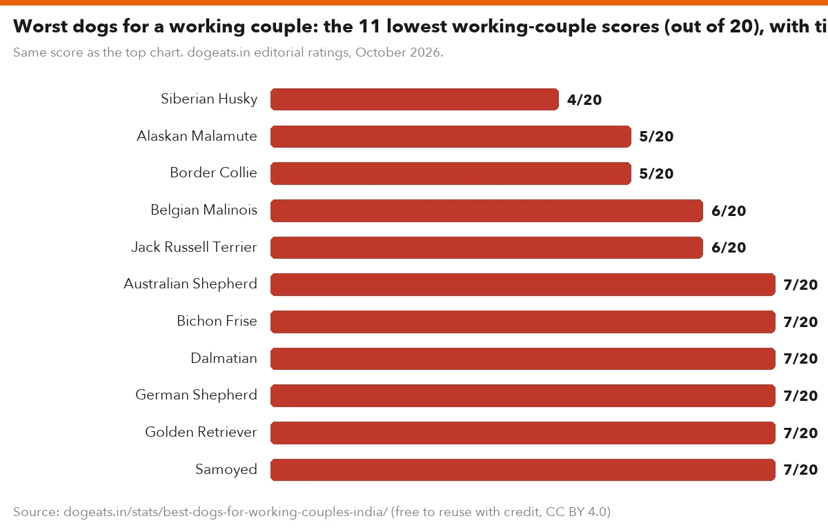 Worst dogs for a working couple: the 11 lowest working-couple scores (out of 20), with ties