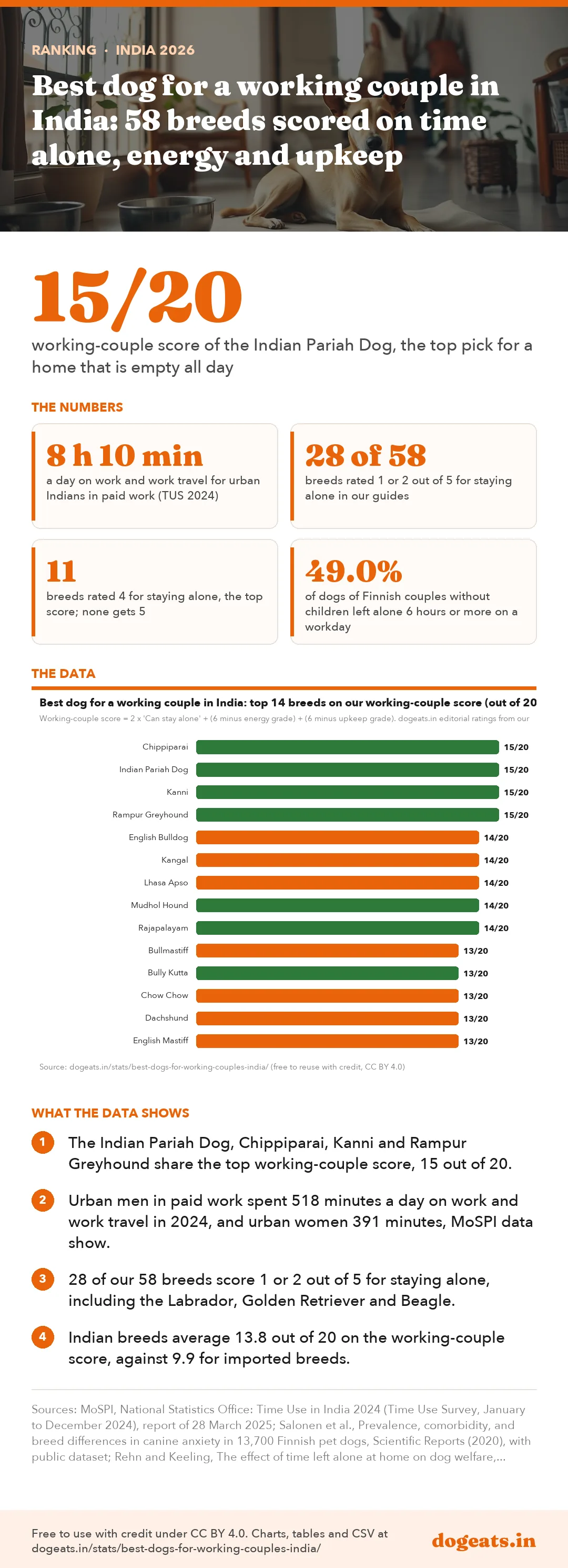 Infographic: Best dog for a working couple in India: 58 breeds scored on time alone, energy and upkeep