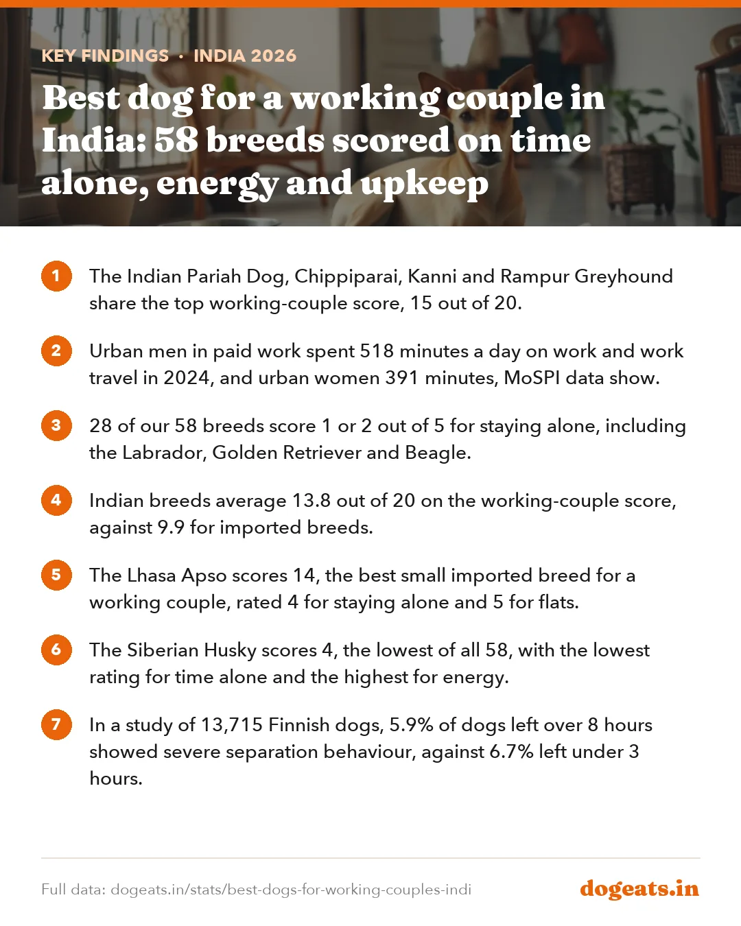 Key findings: Best dog for a working couple in India: 58 breeds scored on time alone, energy and upkeep