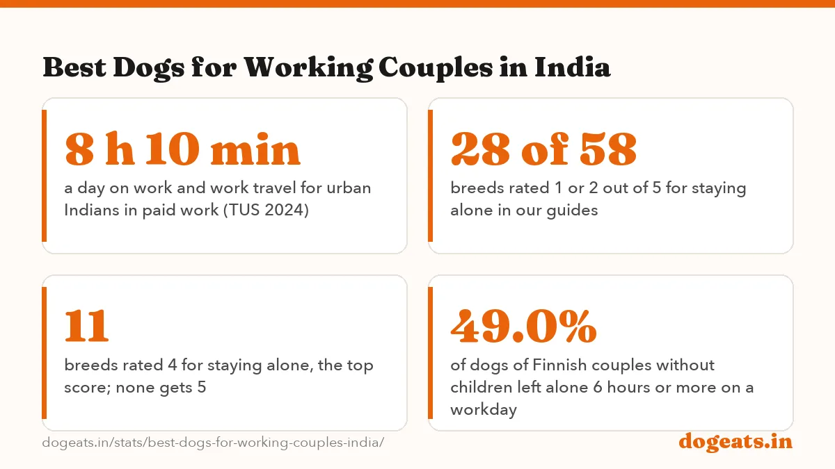 Best Dogs for Working Couples in India: 15/20 working-couple score of the Indian Pariah Dog, the top pick for a home that