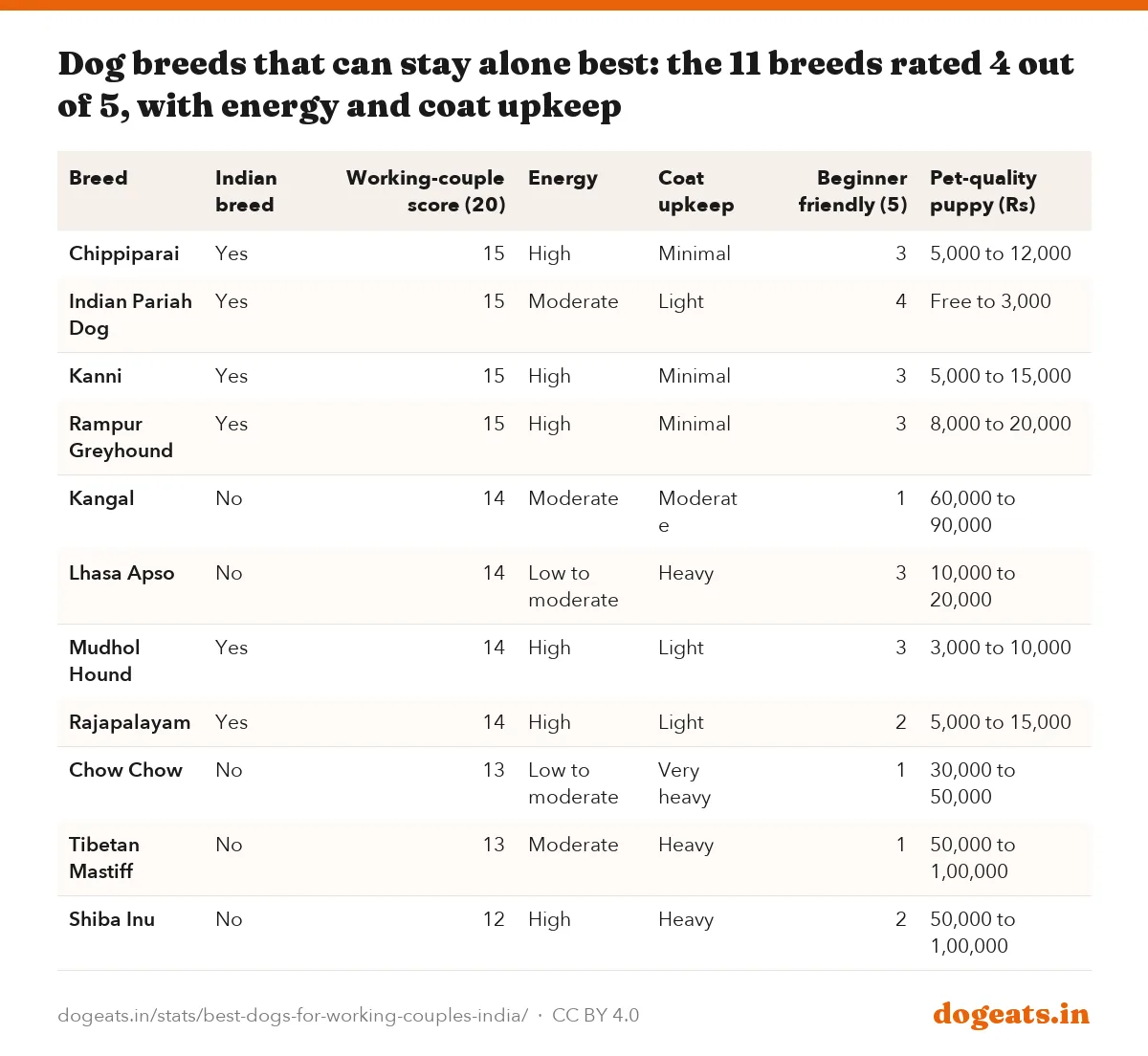 Dog breeds that can stay alone best: the 11 breeds rated 4 out of 5, with energy and coat upkeep