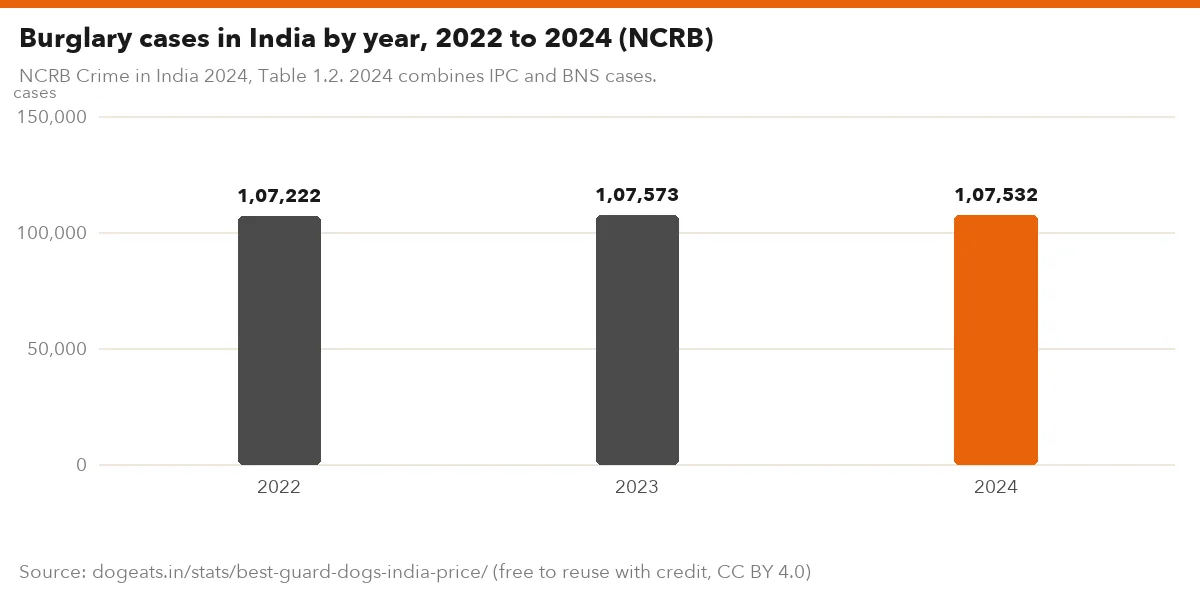 Burglary cases in India by year, 2022 to 2024 (NCRB)