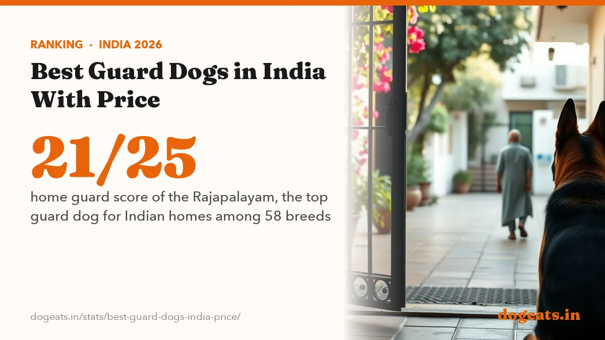21/25 home guard score of the Rajapalayam, the top guard dog for Indian homes among 58 breeds