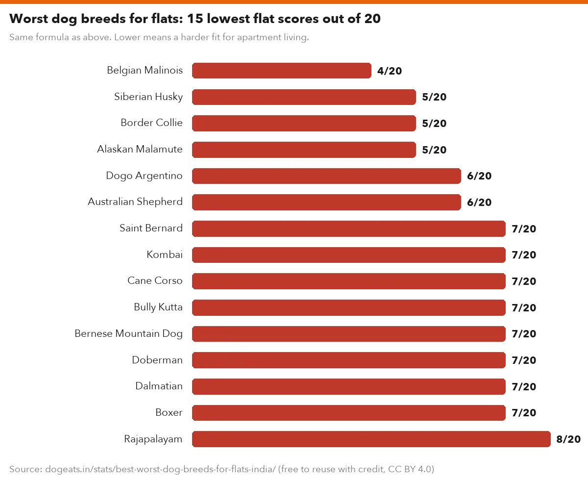 Worst dog breeds for flats: 15 lowest flat scores out of 20