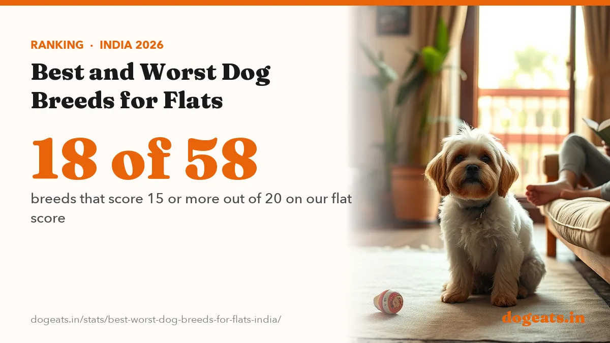 18 of 58 breeds that score 15 or more out of 20 on our flat score