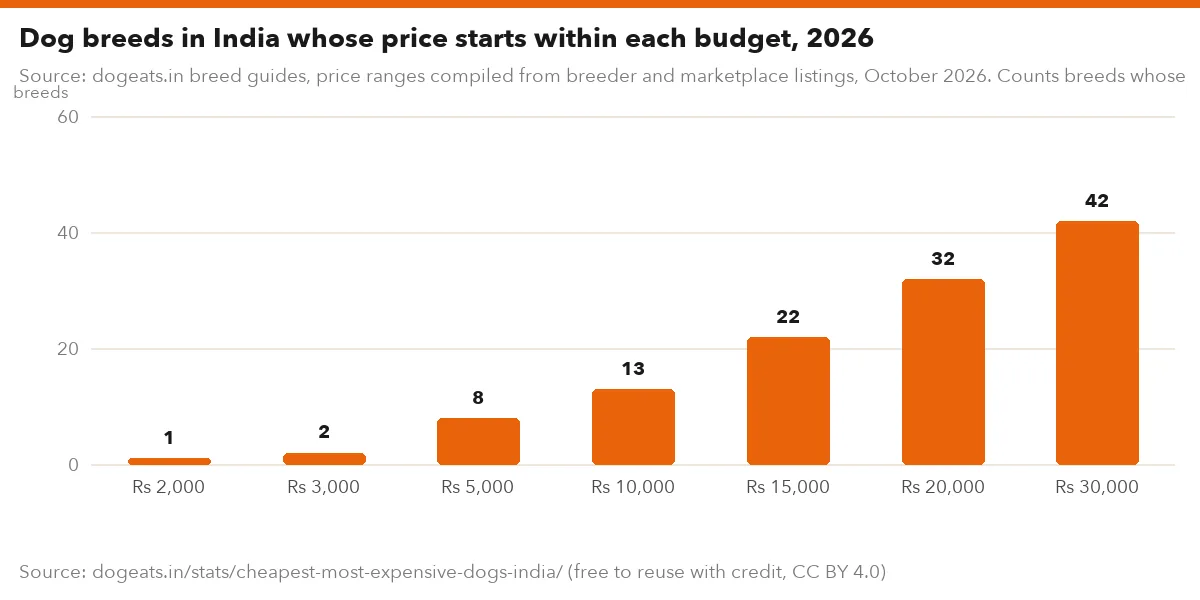 Dog breeds in India whose price starts within each budget, 2026