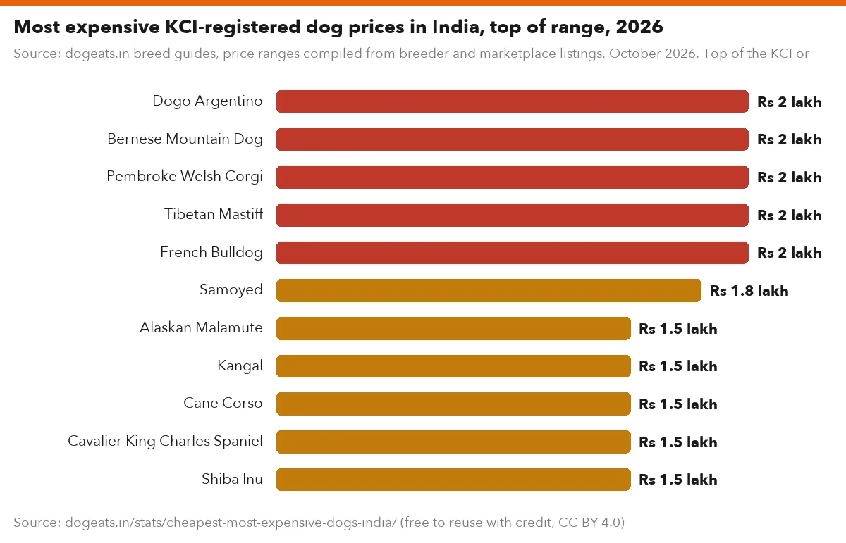 Most expensive KCI-registered dog prices in India, top of range, 2026