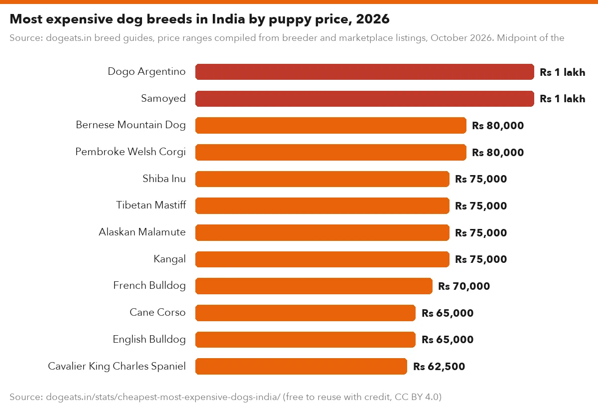 Most expensive dog breeds in India by puppy price, 2026