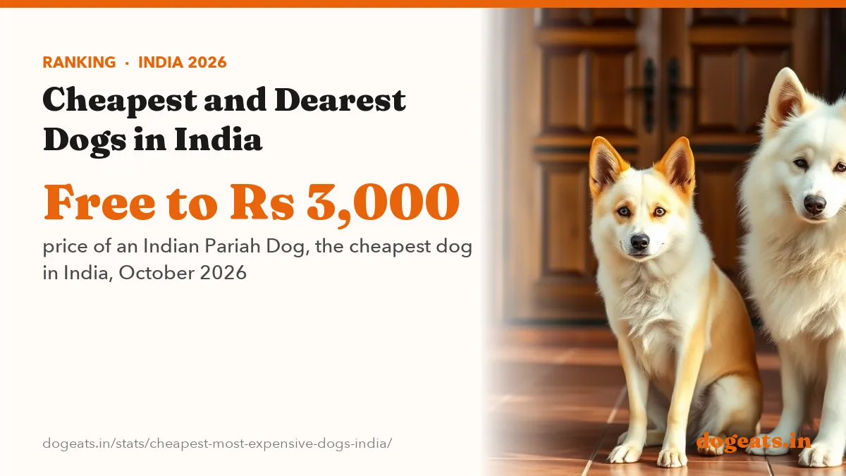 Free to Rs 3,000 price of an Indian Pariah Dog, the cheapest dog in India, October 2026