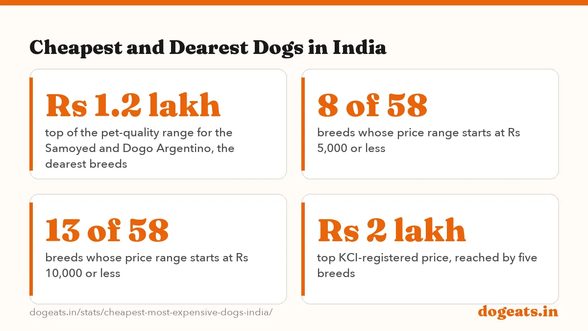 Cheapest and Dearest Dogs in India: the numbers