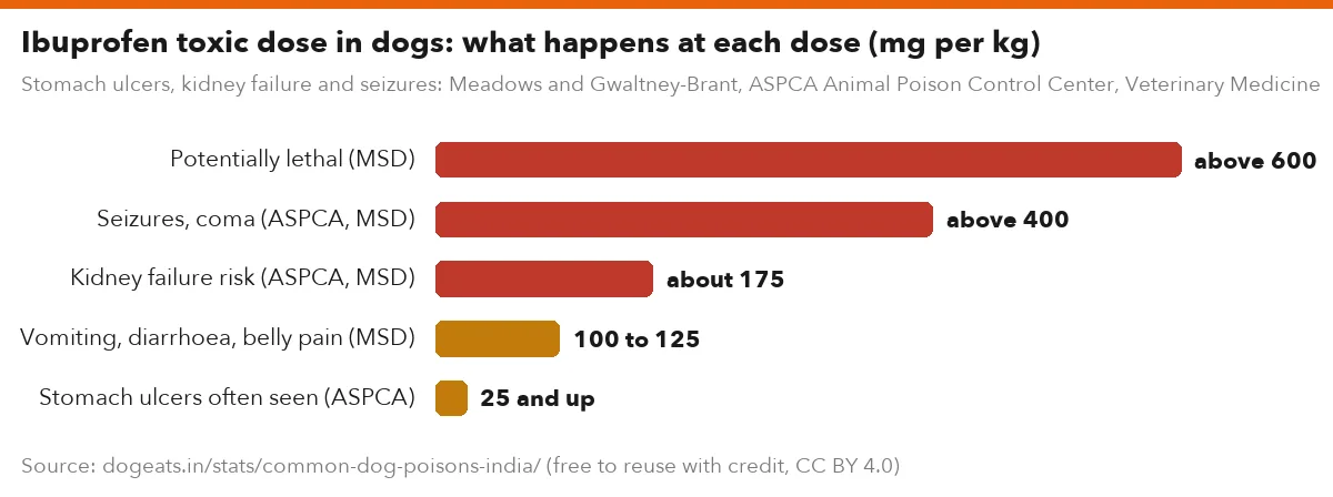 Ibuprofen toxic dose in dogs: what happens at each dose (mg per kg)
