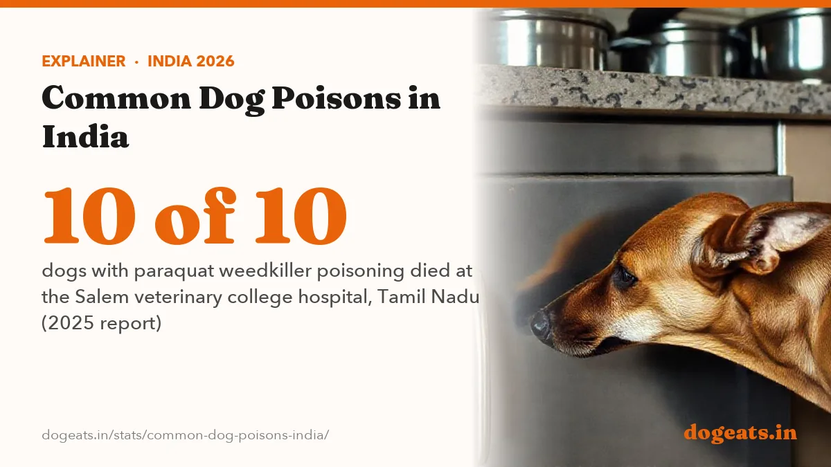 10 of 10 dogs with paraquat weedkiller poisoning died at the Salem veterinary college hospital, Tamil Nadu (2025 report)