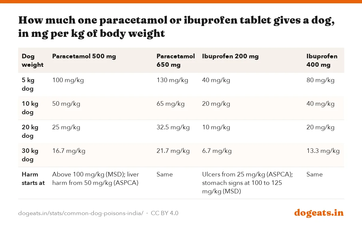 How much one paracetamol or ibuprofen tablet gives a dog, in mg per kg of body weight