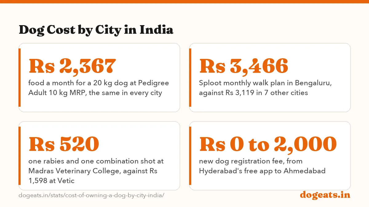 Dog Cost by City in India: Rs 6,289 to 6,507 monthly listed-price cost of a 20 kg dog across 7 Indian cities,