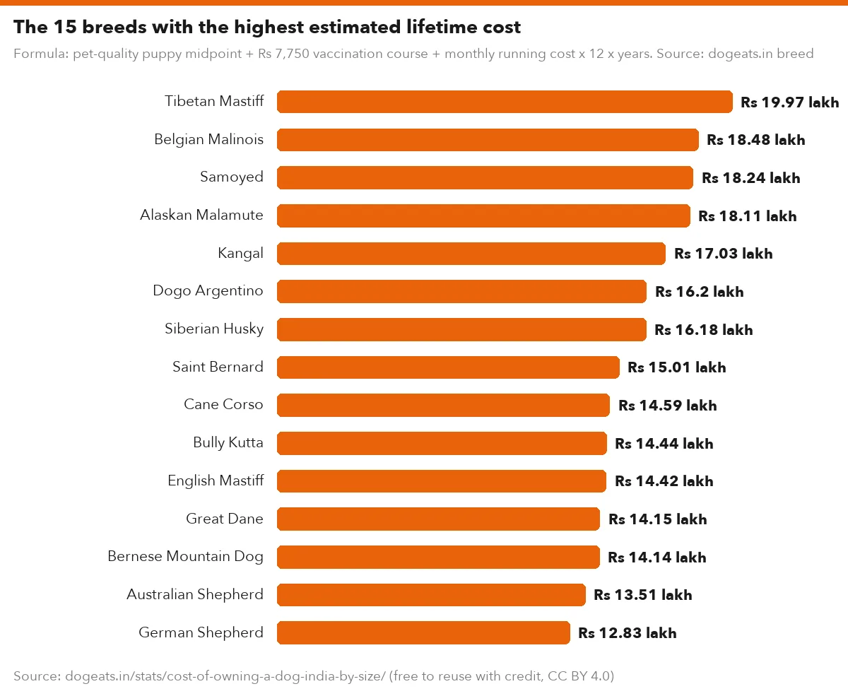 The 15 breeds with the highest estimated lifetime cost