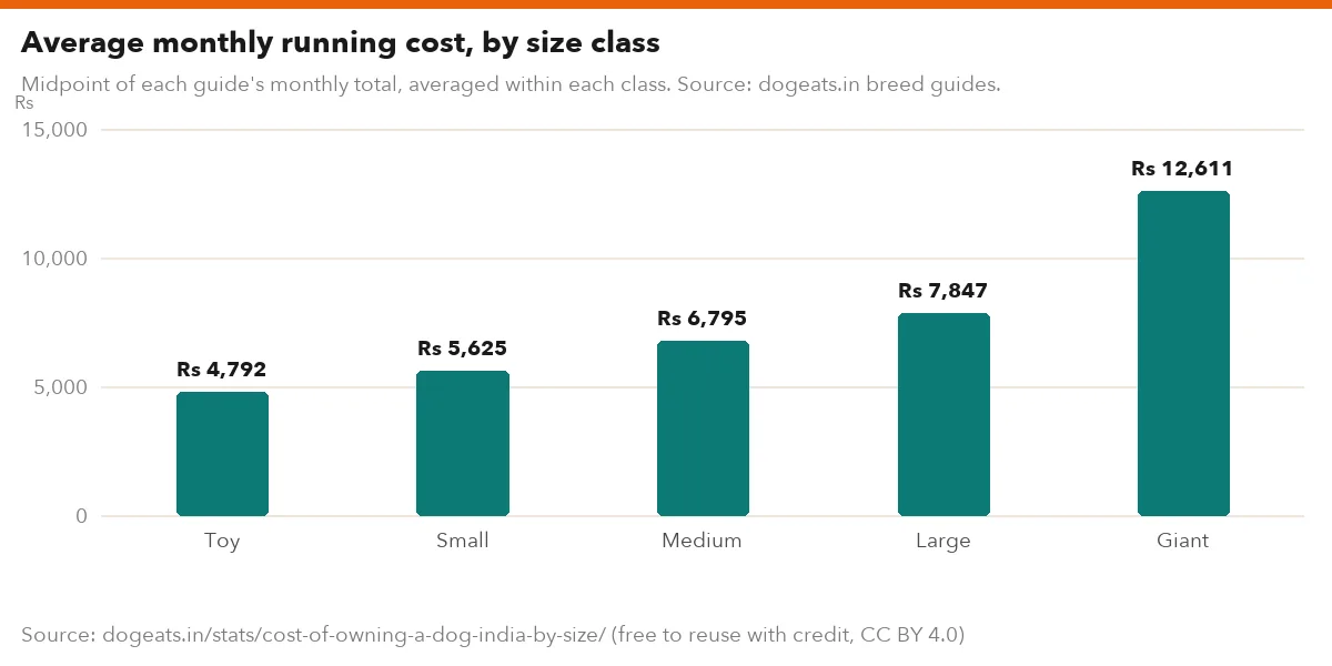 Average monthly running cost, by size class