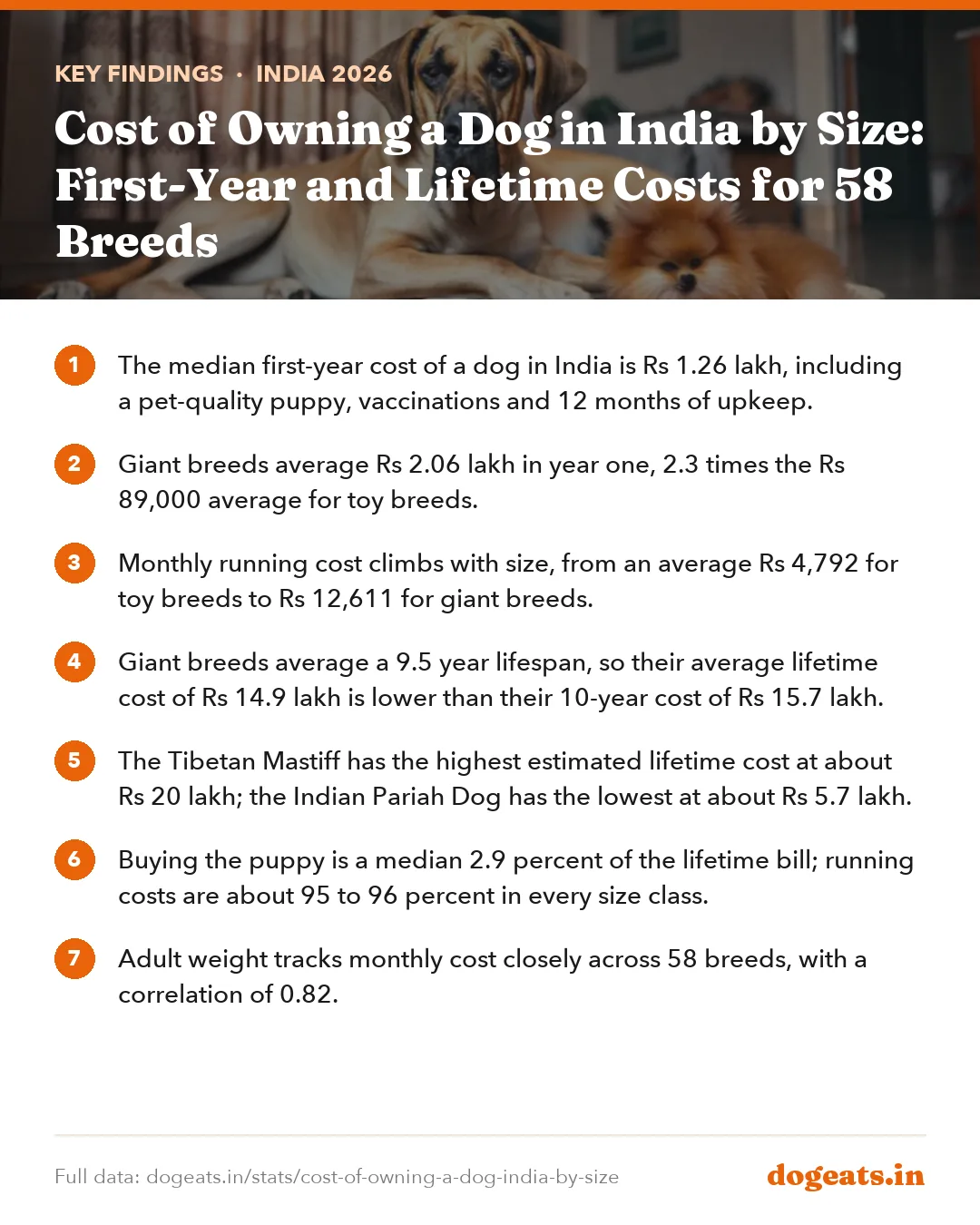 Key findings: Cost of Owning a Dog in India by Size: First-Year and Lifetime Costs for 58 Breeds
