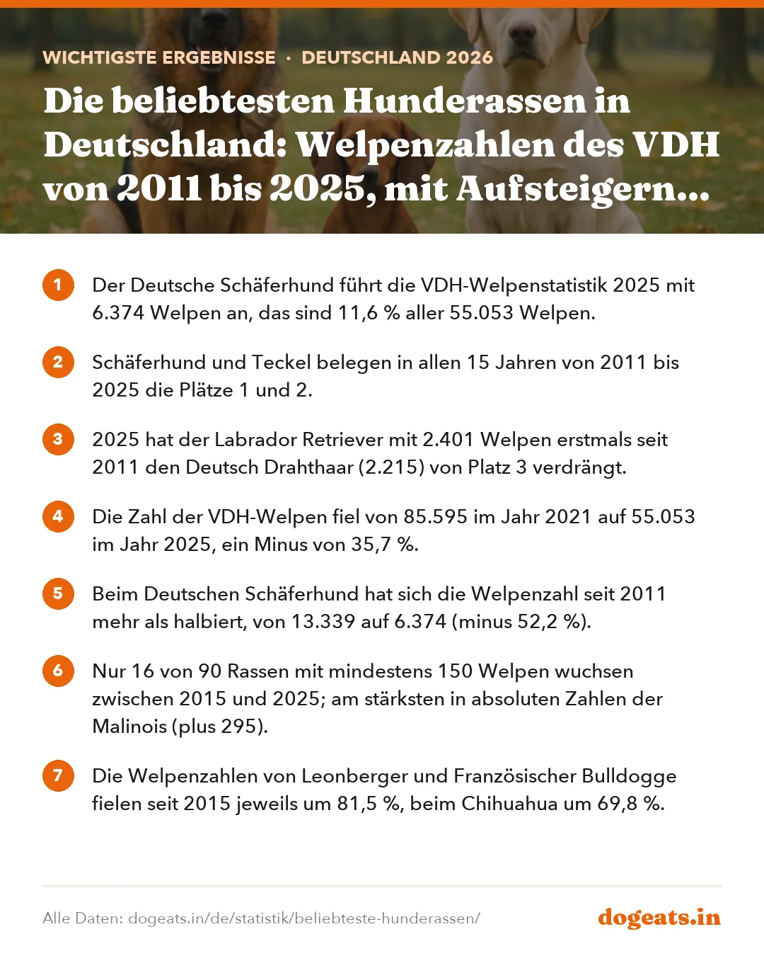 Wichtigste Ergebnisse: Die beliebtesten Hunderassen in Deutschland: Welpenzahlen des VDH von 2011 bis 2025, mit Aufsteigern und Absteigern