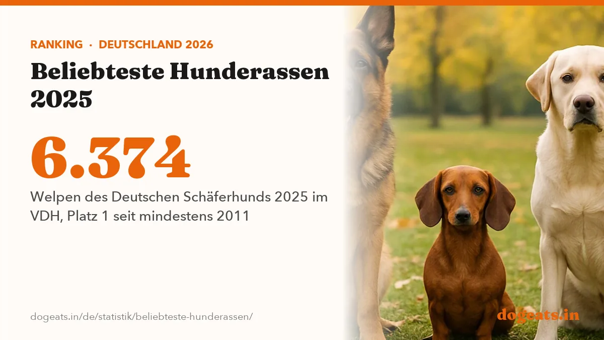 6.374 Welpen des Deutschen Schäferhunds 2025 im VDH, Platz 1 seit mindestens 2011