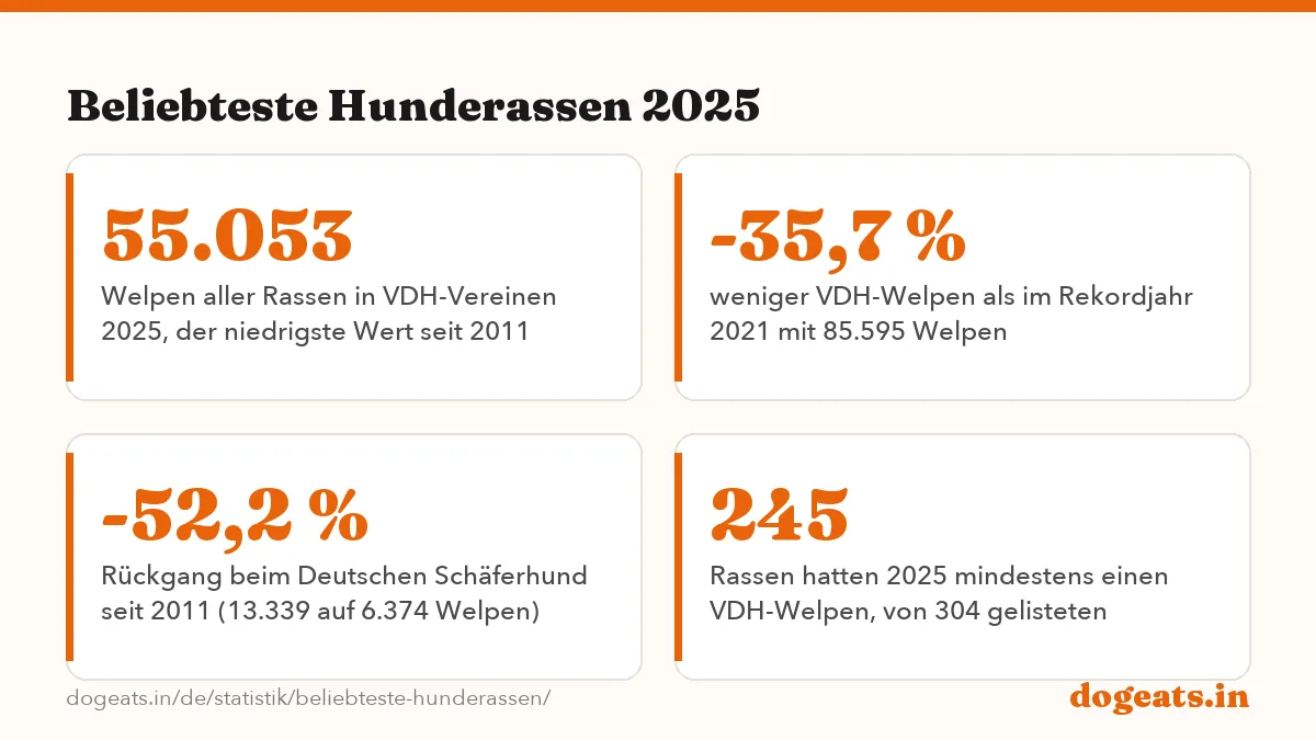 Beliebteste Hunderassen 2025: die Zahlen