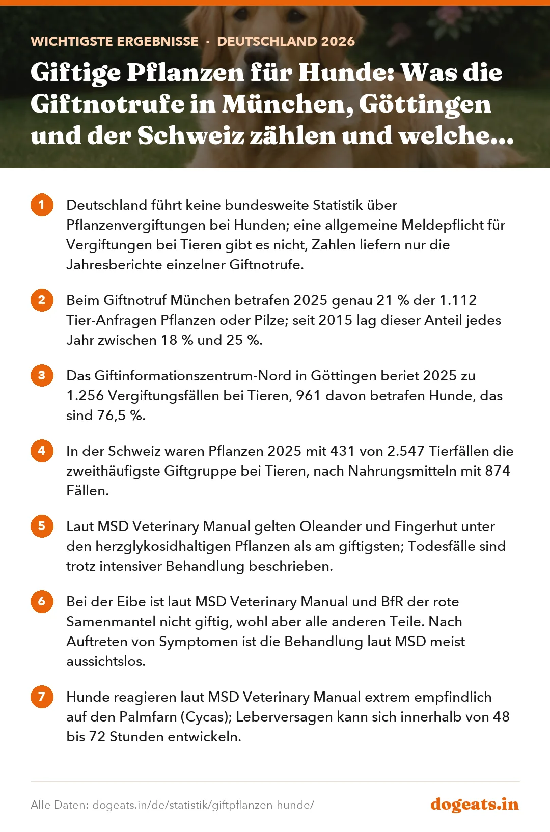 Wichtigste Ergebnisse: Giftige Pflanzen für Hunde: Was die Giftnotrufe in München, Göttingen und der Schweiz zählen und welche Garten- und Zimmerpflanzen wirklich gefährlich sind