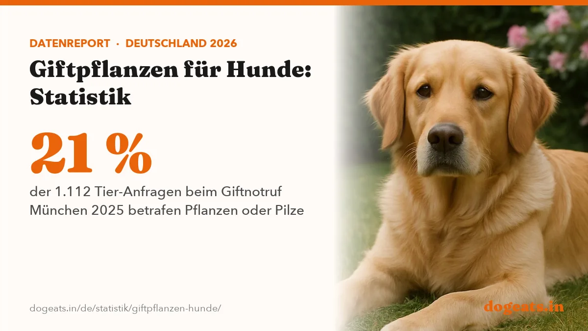 21 % der 1.112 Tier-Anfragen beim Giftnotruf München 2025 betrafen Pflanzen oder Pilze