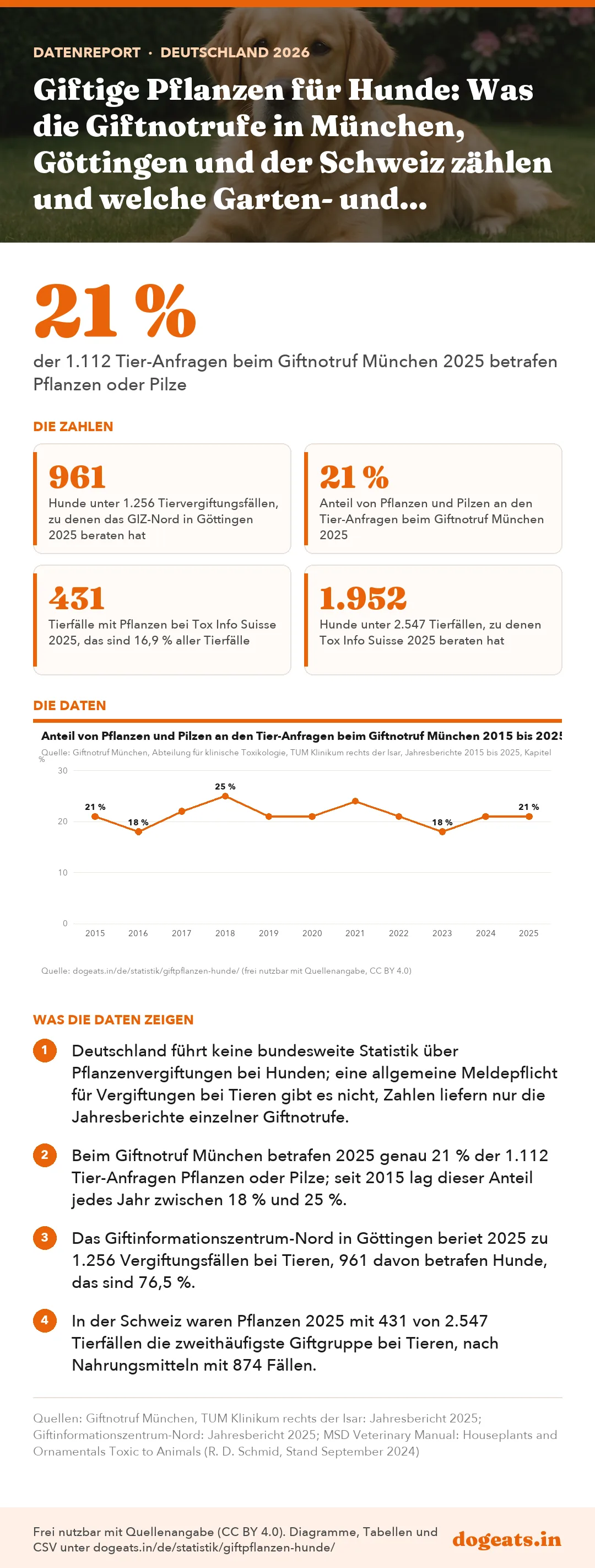 Infografik: Giftige Pflanzen für Hunde: Was die Giftnotrufe in München, Göttingen und der Schweiz zählen und welche Garten- und Zimmerpflanzen wirklich gefährlich sind