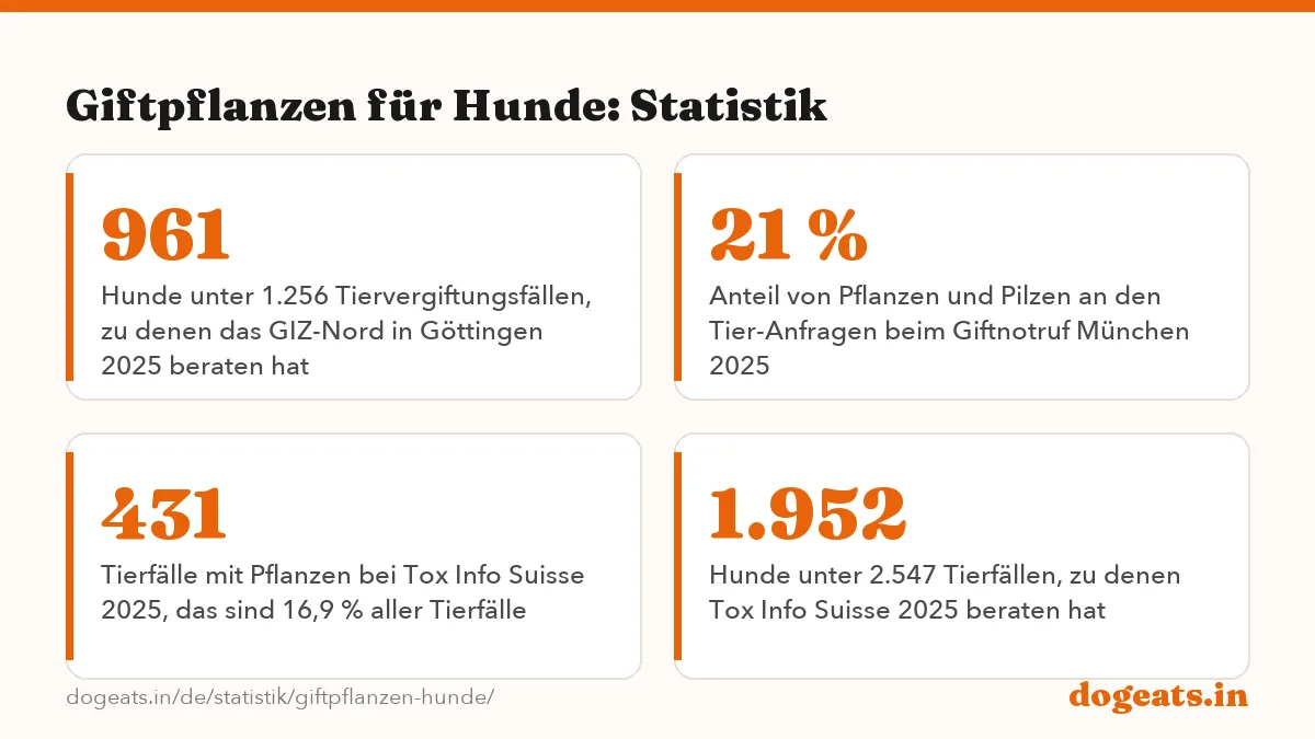 Giftpflanzen für Hunde: Statistik: 21 % der 1.112 Tier-Anfragen beim Giftnotruf München 2025 betrafen Pflanzen oder Pilze