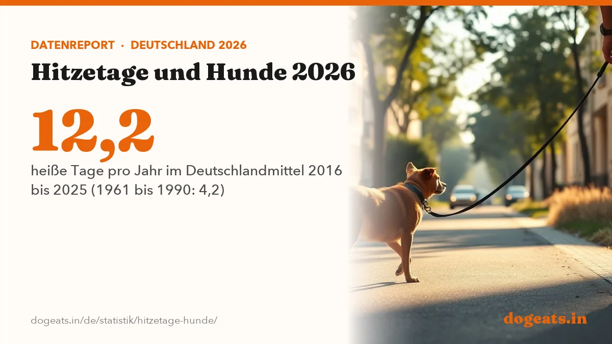 12,2 heiße Tage pro Jahr im Deutschlandmittel 2016 bis 2025 (1961 bis 1990: 4,2)