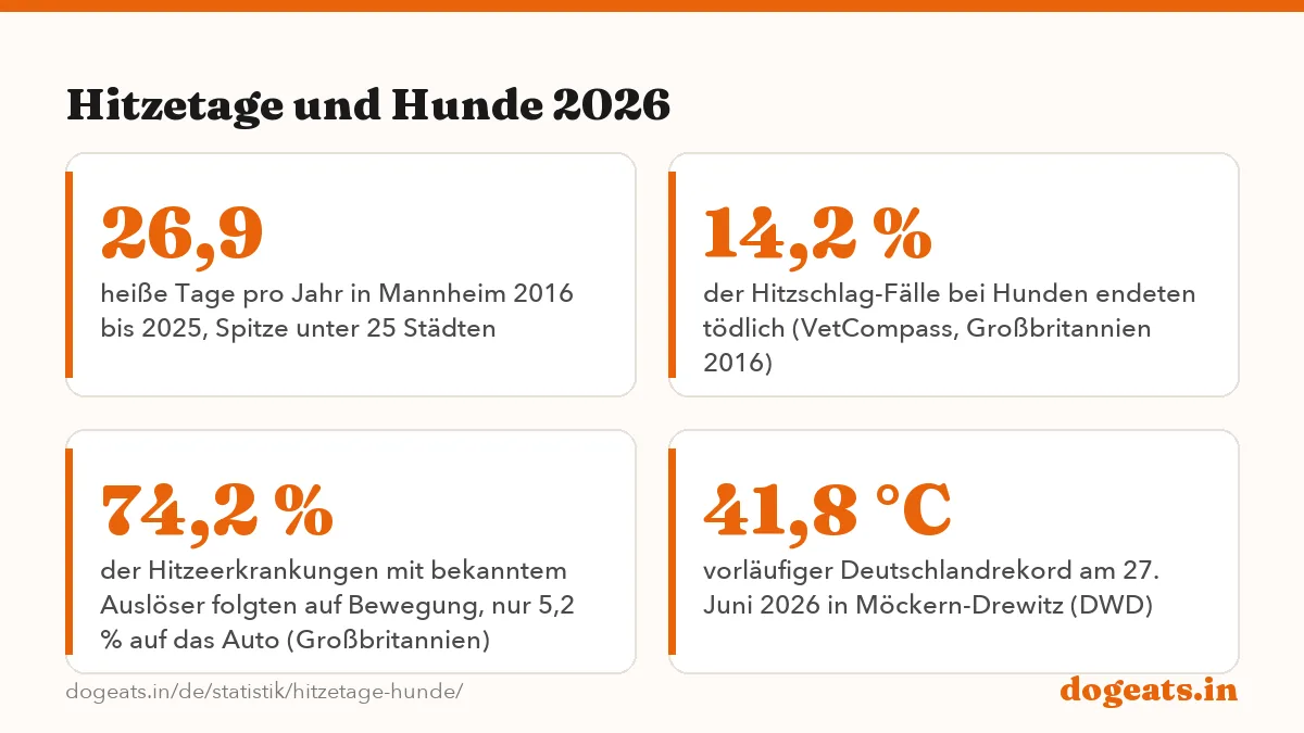 Hitzetage und Hunde 2026: die Zahlen