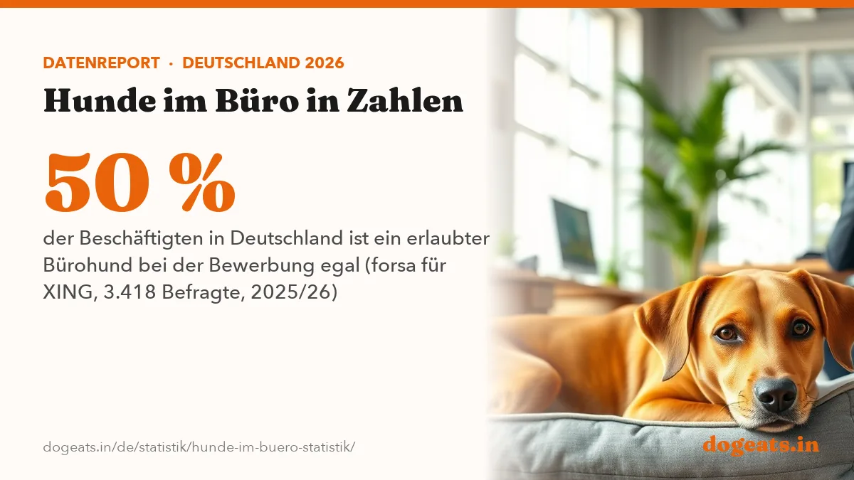 50 % der Beschäftigten in Deutschland ist ein erlaubter Bürohund bei der Bewerbung egal (forsa für XING, 3.418 Befragte, 2025/26)