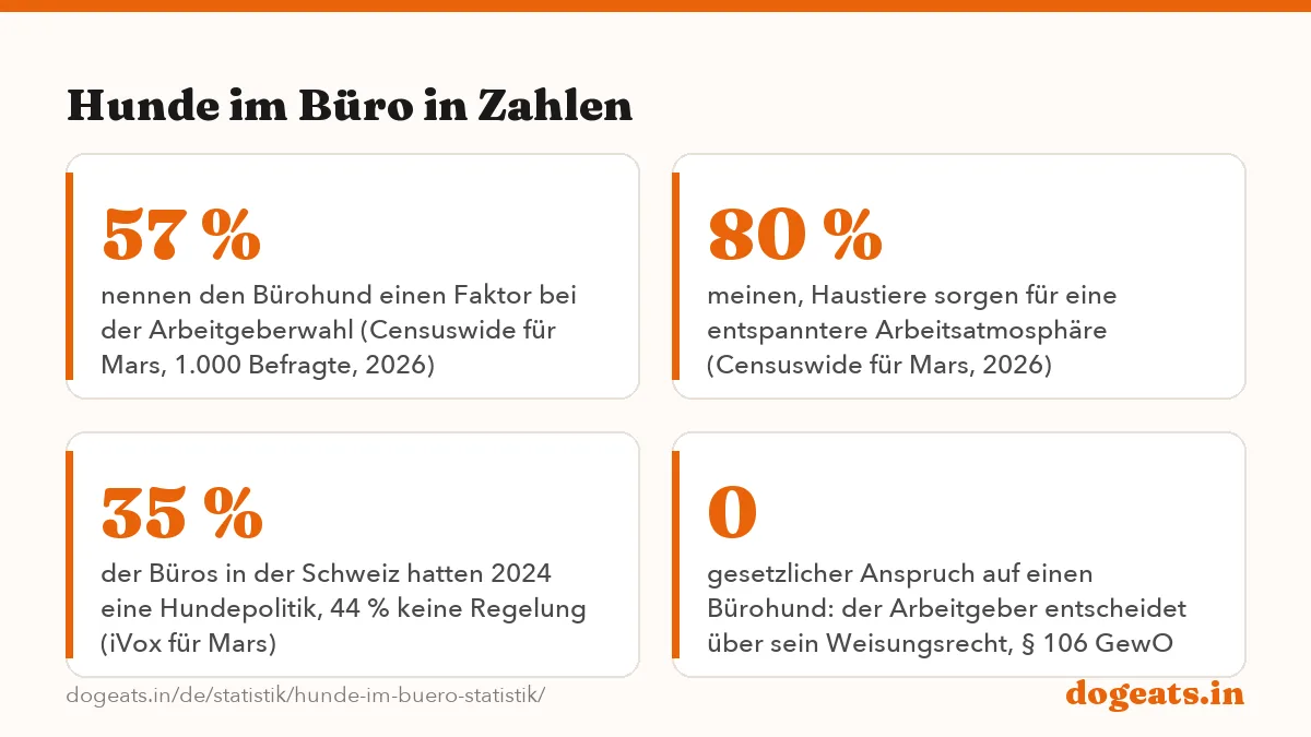 Hunde im Büro in Zahlen: 50 % der Beschäftigten in Deutschland ist ein erlaubter Bürohund bei der Bewerbung egal (forsa für XING,