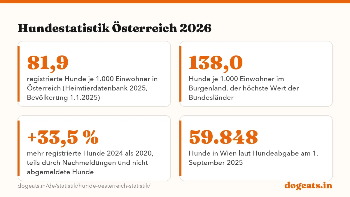 Hundestatistik Österreich 2026: die Zahlen