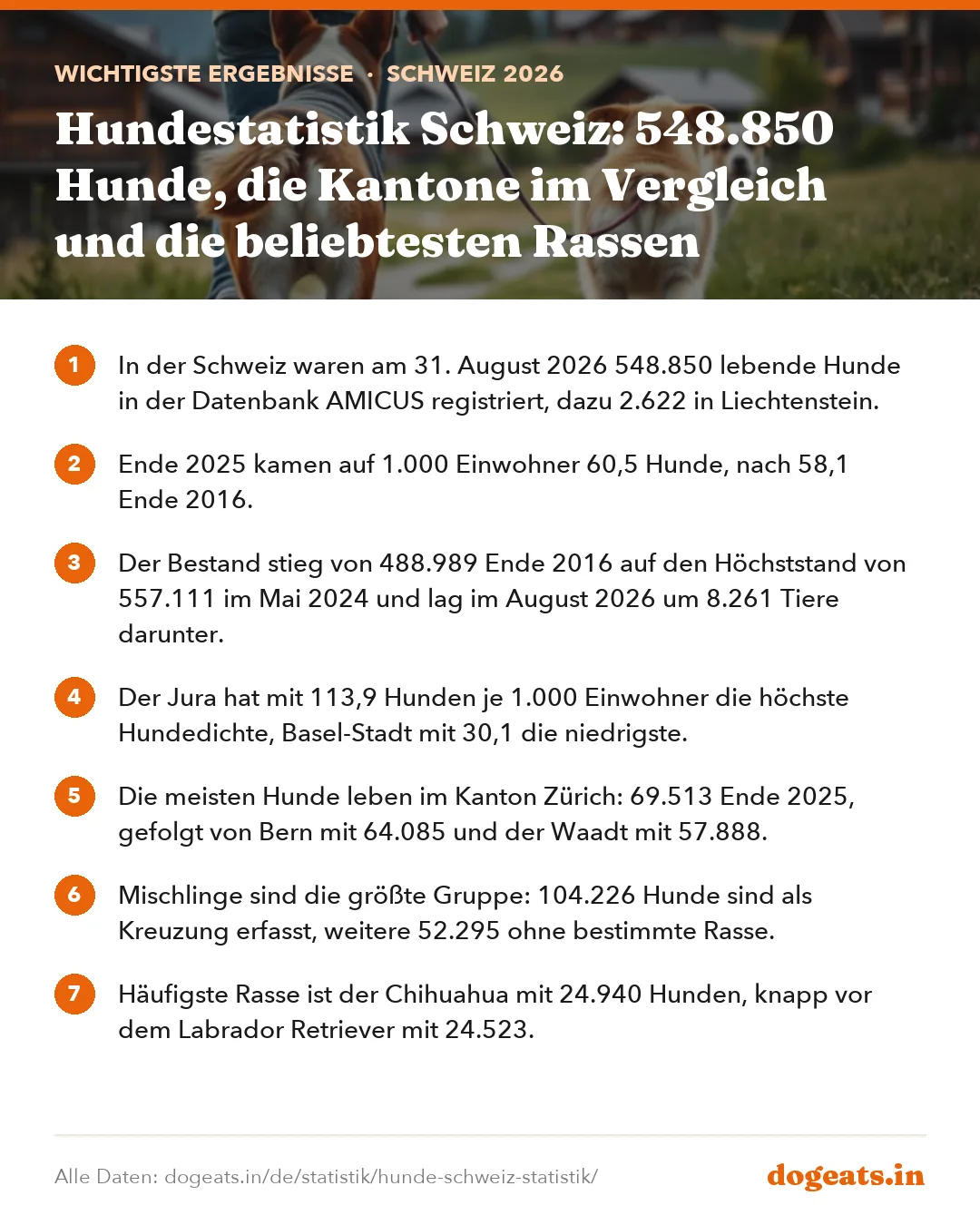 Wichtigste Ergebnisse: Hundestatistik Schweiz: 548.850 Hunde, die Kantone im Vergleich und die beliebtesten Rassen