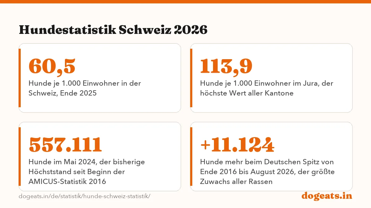 Hundestatistik Schweiz 2026: die Zahlen