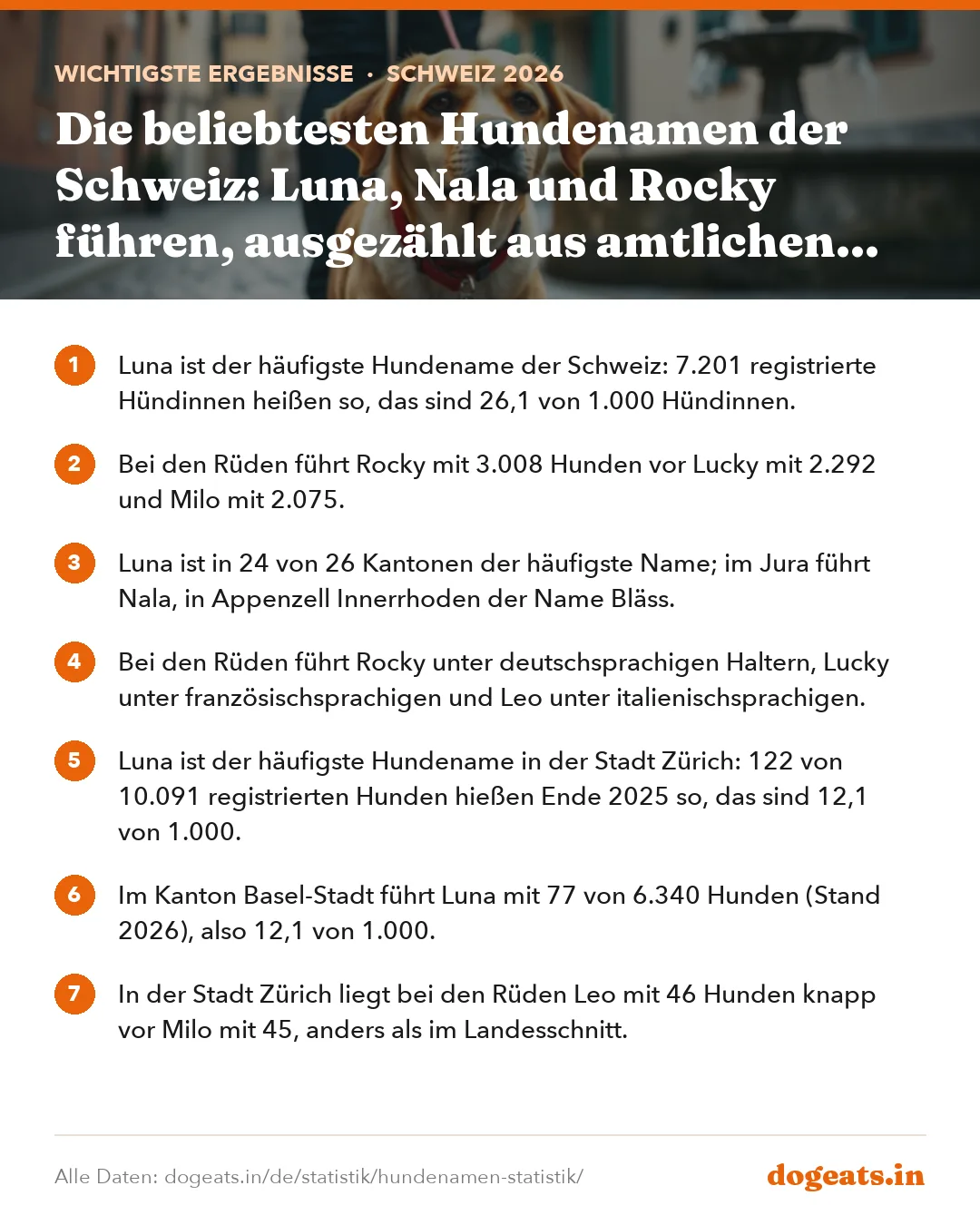 Wichtigste Ergebnisse: Die beliebtesten Hundenamen der Schweiz: Luna, Nala und Rocky führen, ausgezählt aus amtlichen Registern