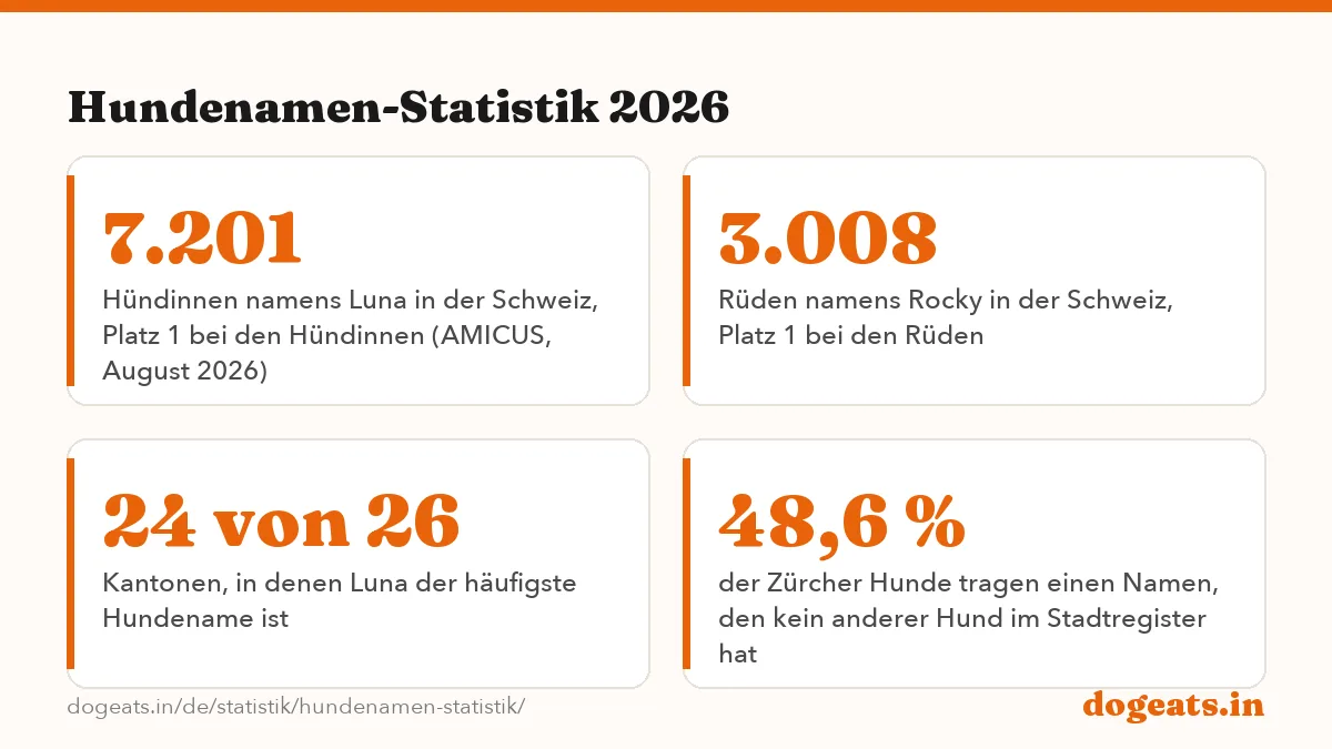 Hundenamen-Statistik 2026: die Zahlen