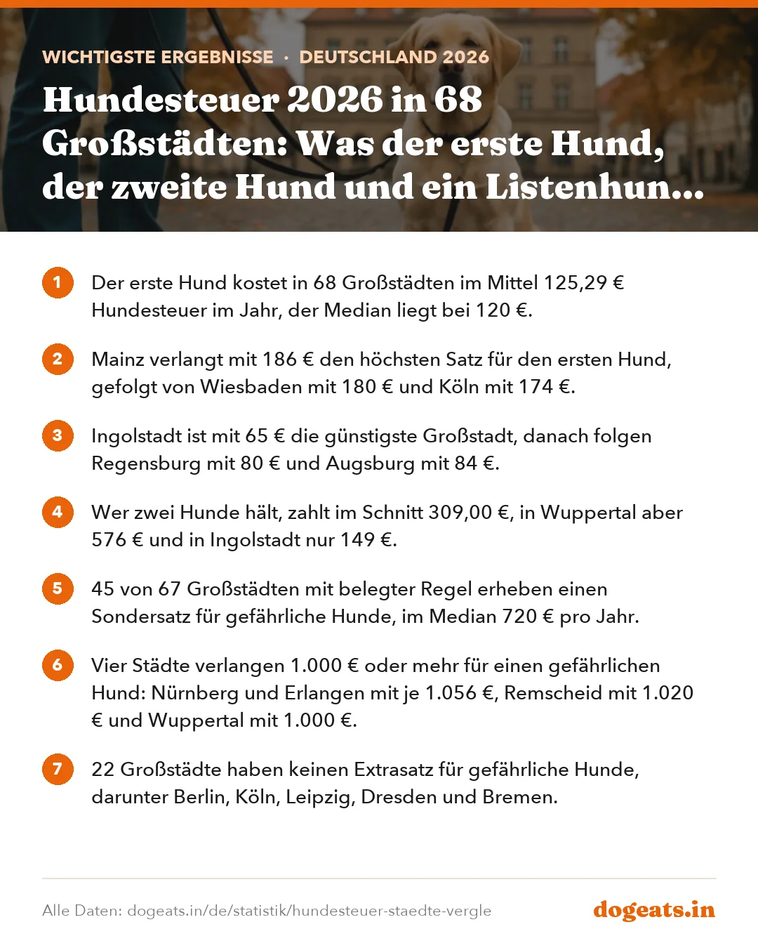 Wichtigste Ergebnisse: Hundesteuer 2026 in 68 Großstädten: Was der erste Hund, der zweite Hund und ein Listenhund kosten
