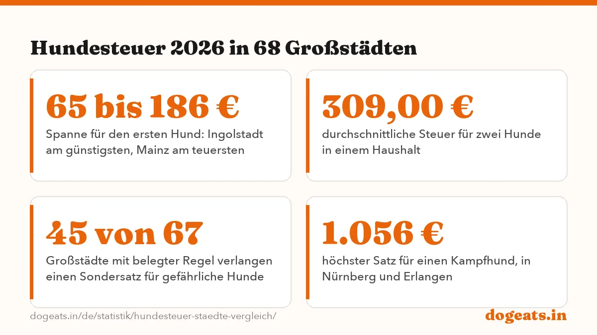 Hundesteuer 2026 in 68 Großstädten: die Zahlen