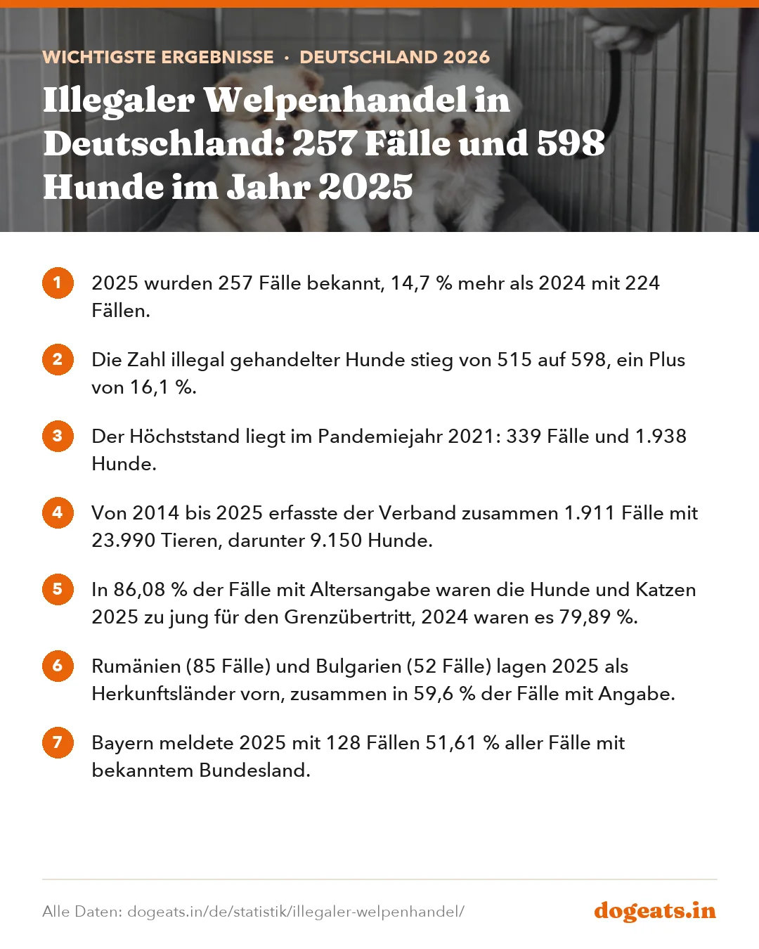 Wichtigste Ergebnisse: Illegaler Welpenhandel in Deutschland: 257 Fälle und 598 Hunde im Jahr 2025