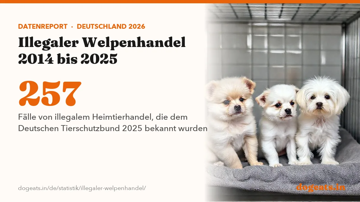 257 Fälle von illegalem Heimtierhandel, die dem Deutschen Tierschutzbund 2025 bekannt wurden