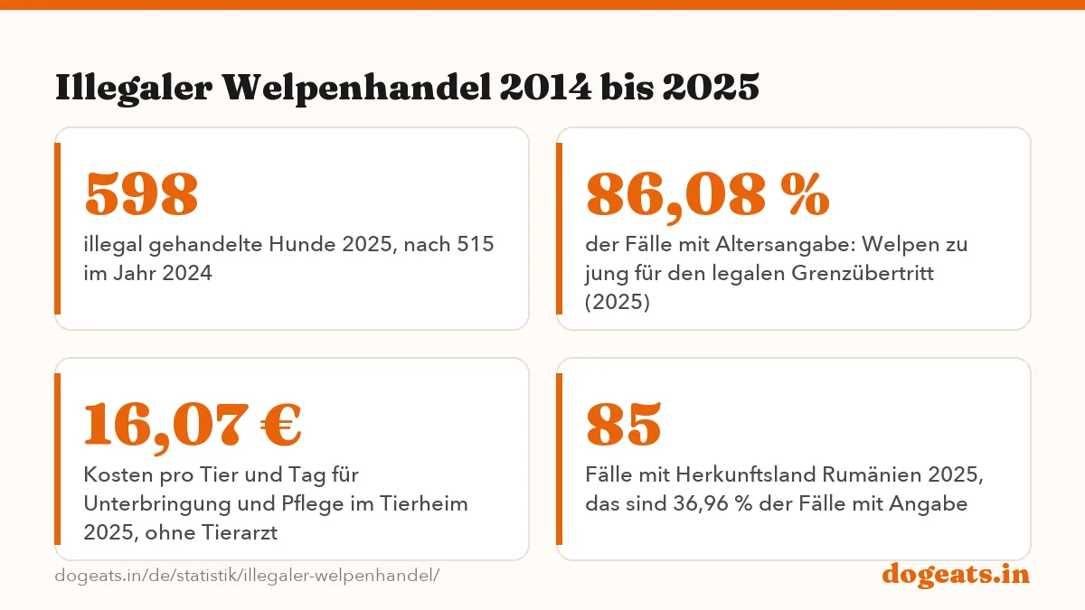 Illegaler Welpenhandel 2014 bis 2025: die Zahlen