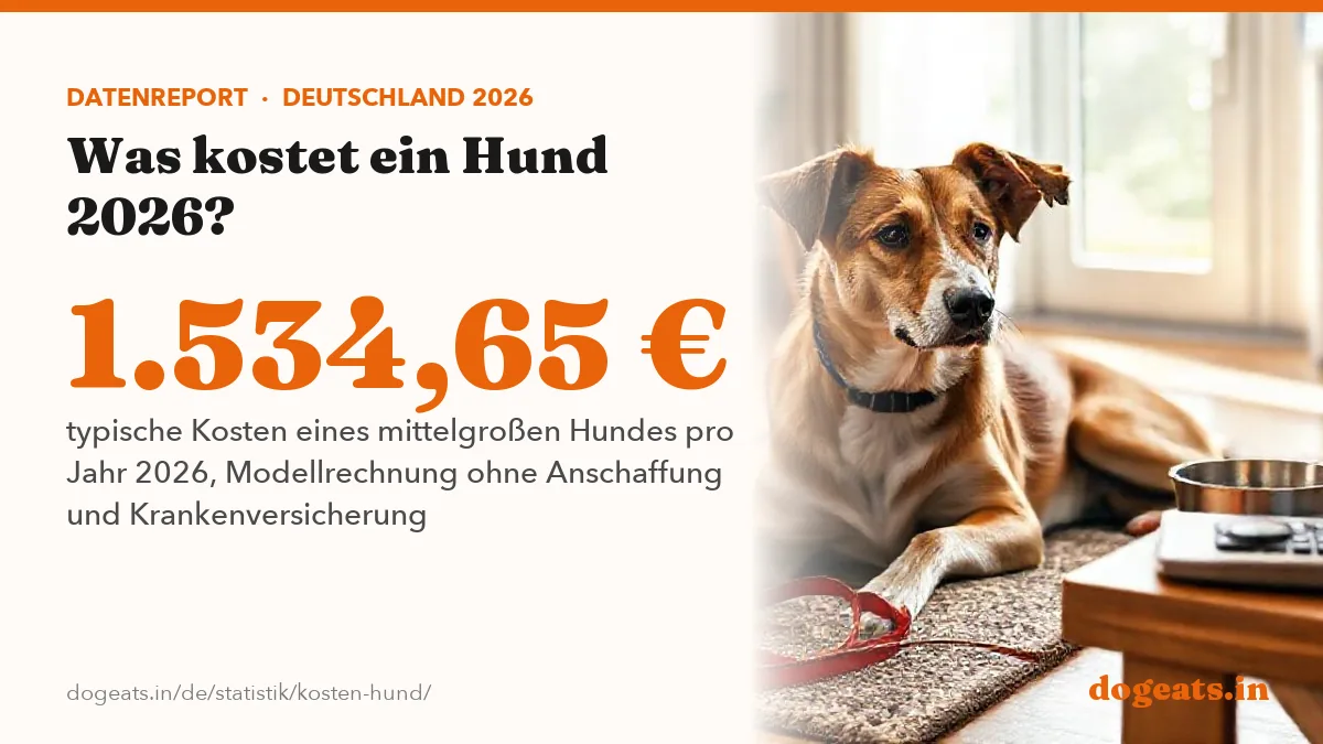 1.534,65 € typische Kosten eines mittelgroßen Hundes pro Jahr 2026, Modellrechnung ohne Anschaffung und Krankenversicherung