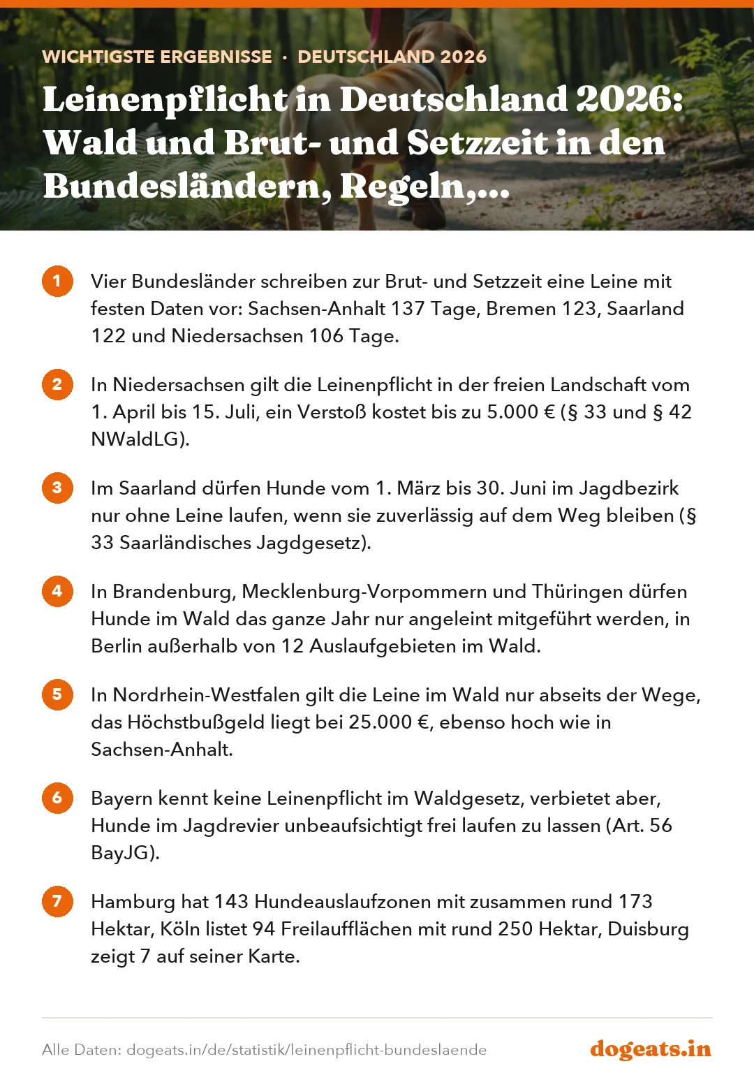 Wichtigste Ergebnisse: Leinenpflicht in Deutschland 2026: Wald und Brut- und Setzzeit in den Bundesländern, Regeln, Freilaufflächen und Bußgelder in 12 Großstädten