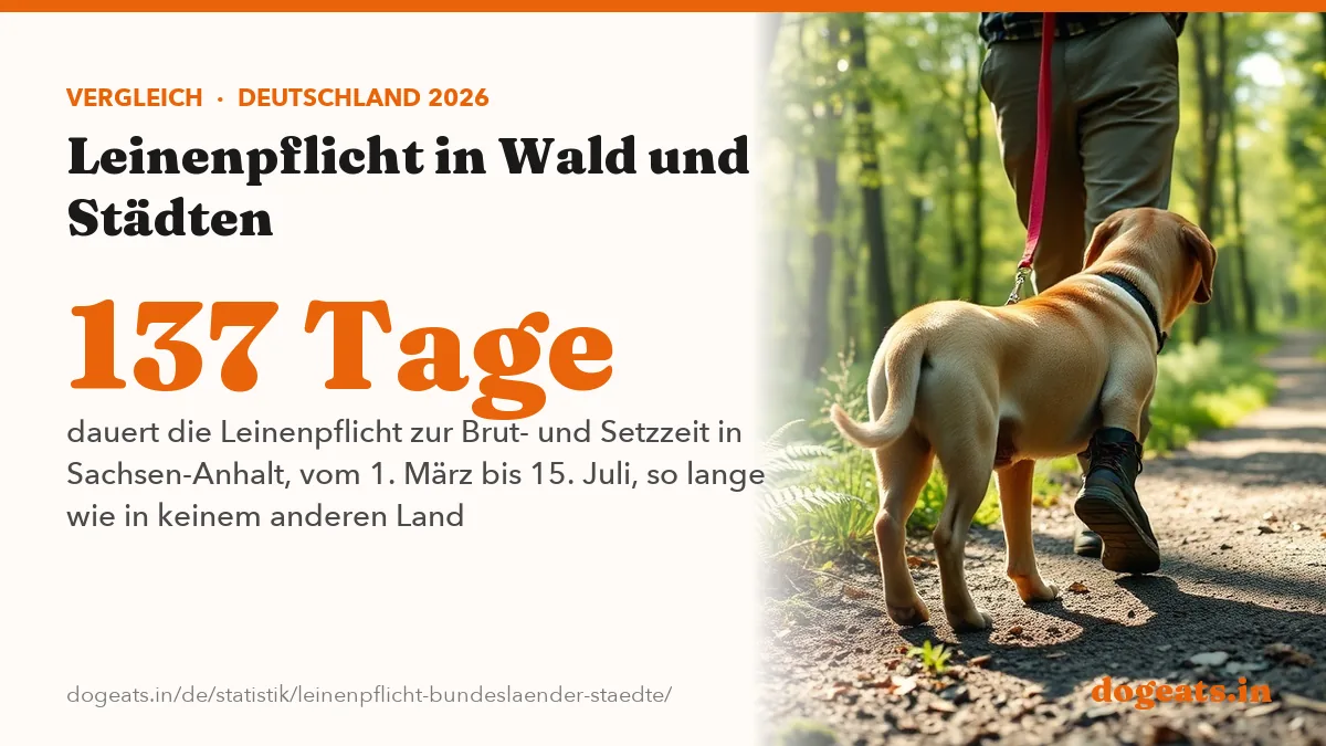 137 Tage dauert die Leinenpflicht zur Brut- und Setzzeit in Sachsen-Anhalt, vom 1. März bis 15. Juli, so lange wie in keinem anderen Land