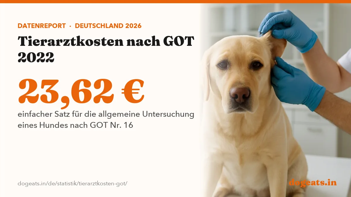 23,62 € einfacher Satz für die allgemeine Untersuchung eines Hundes nach GOT Nr. 16