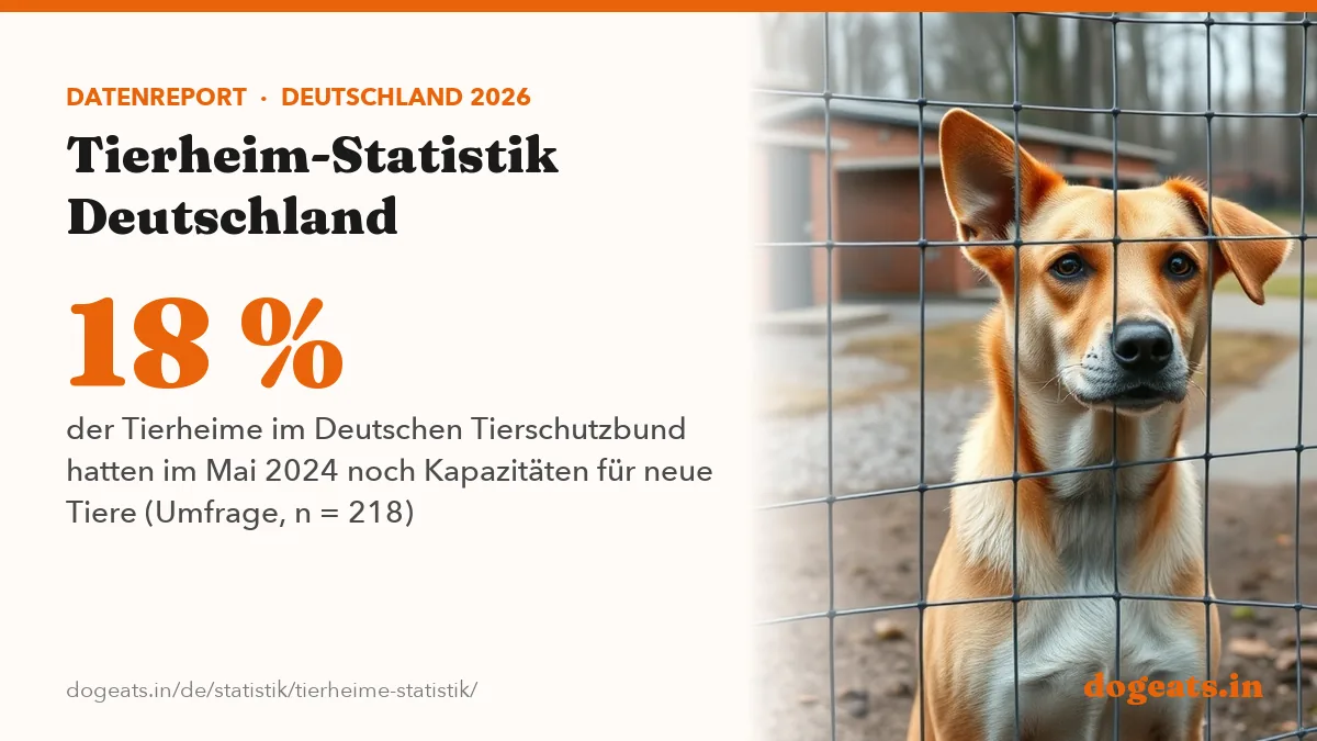 18 % der Tierheime im Deutschen Tierschutzbund hatten im Mai 2024 noch Kapazitäten für neue Tiere (Umfrage, n = 218)