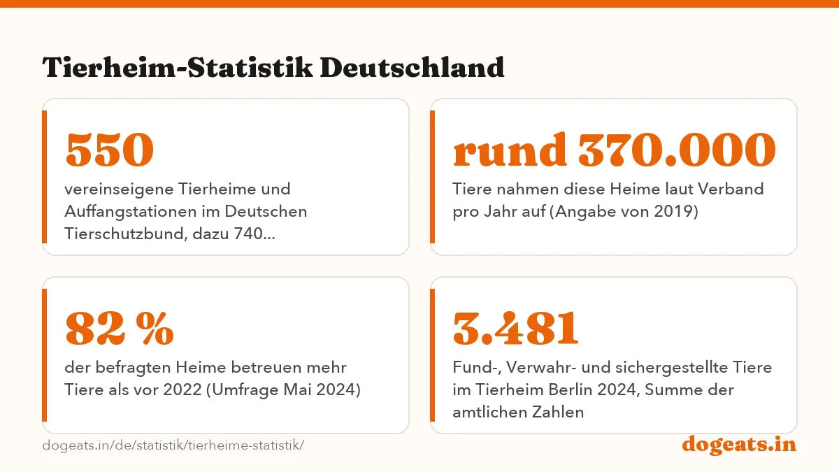 Tierheim-Statistik Deutschland: die Zahlen